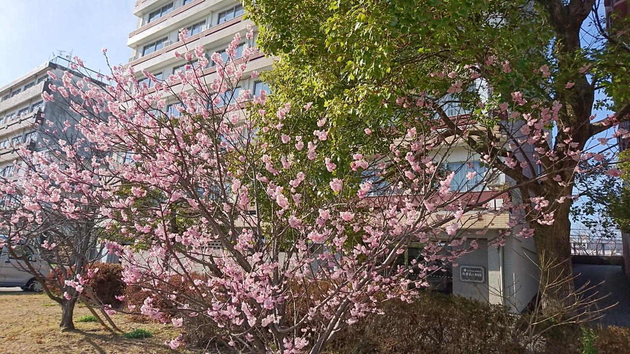 Shoei Daini Bekkan Kōchi Exteriör bild